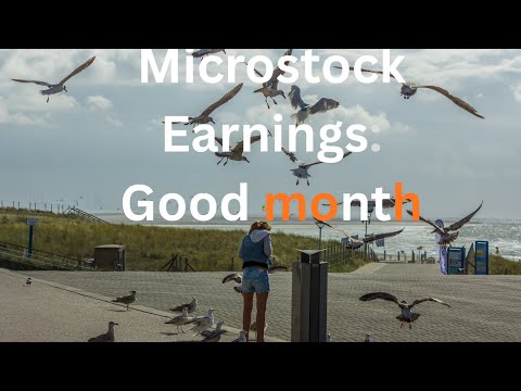 Stock Photography Earnings September 2025: Pond5 Video Sells, Adobe Videos Winning
