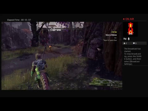 Argonian sorcerer day 1