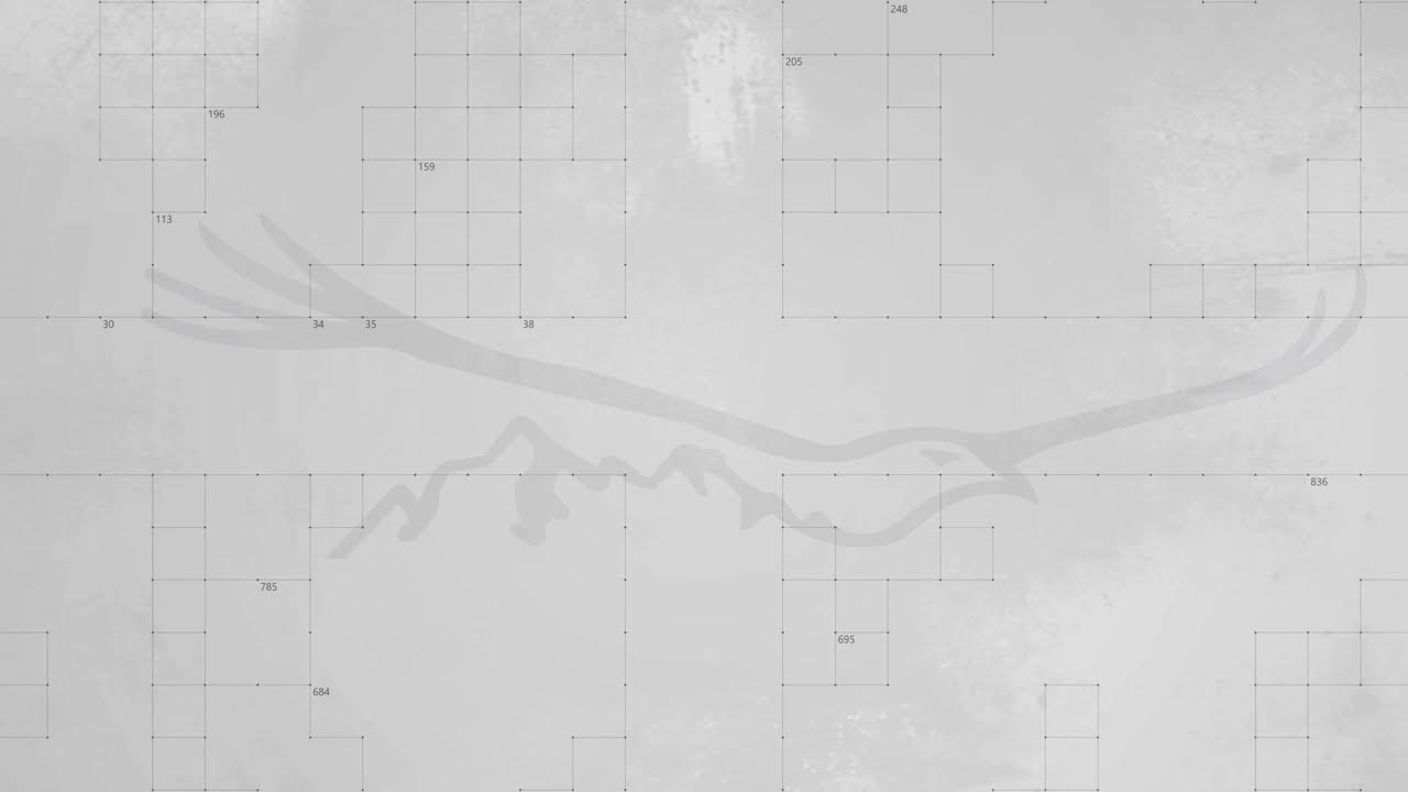 გადაცემა "სპეციალური გამოშვება" - ვალერი კვარაცხელიასთან ერთად