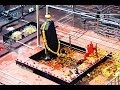 Shree Shani Chalisa Dinkar Soot Shanidev Nirale Shailander Bhati