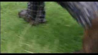 The murder of  Clan MacDonald of Glencoe part 2