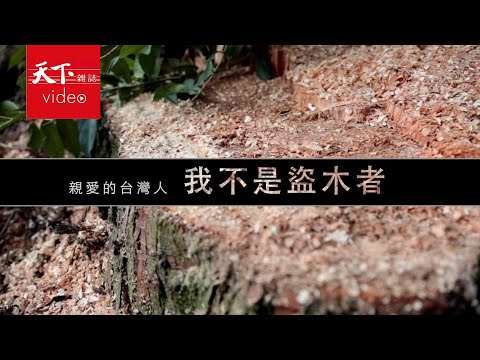 砍伐樹木壞處
