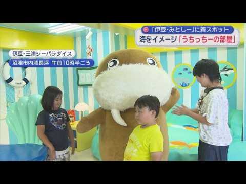 YouTube Video 新たなフォトスポット完成　セイウチをモデルにした公式キャラクター「うちっちー」の部屋　伊豆・三津シーパラダイス