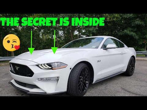300 RWHP On a BUDGET Vortech Supercharger FOR THE DAILY DRIVEN 2018 - 2019 Ford Mustang GT