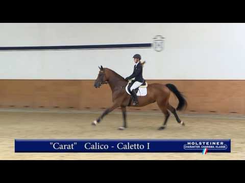 103. Carat v. Calico - Caletto I