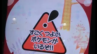 ディアンシー ポケットモンスター リーフィア ププリン ミュウツー
