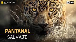 PANTANAL - El Corazón Inundado de América del Sur | Documental Completo 4K