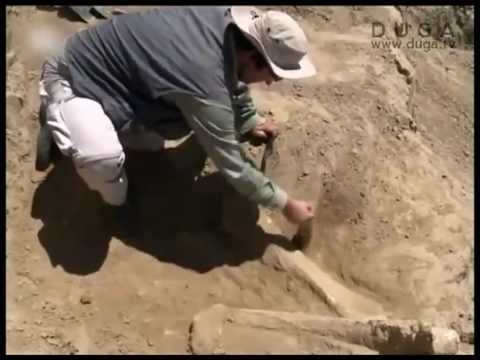 Počinje iskopavanje u Viminacijumu, 09.07.2012.