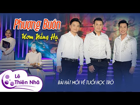 Phượng buồn ươm nắng hạ - Đình Hội