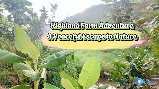 Highland Farm Adventure | A Peaceful Escape to Nature PART 2