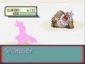 Pokemon Sapphire Battle Vs Leader Norman