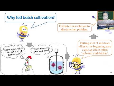 CTU lecture - fermentation modes (part 3/3)