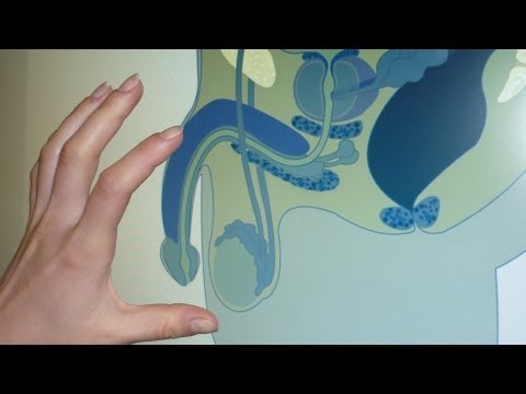 Bei der Behandlung von Prostata-Schmerzen Urintests für Prostata-