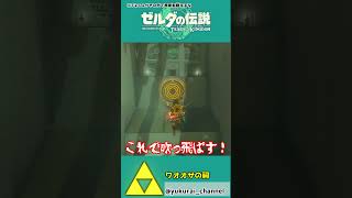 【ティアキン】手順を吹き飛ばせ！？力点支点作用点！！【祠攻略】＃Shorts