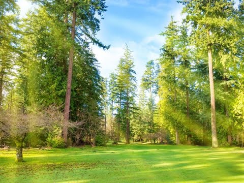 Conways Feat Nick Straker Band - A Walk In The Park 2005 (2-4 Grooves Remix) [CLASSIC VOCAL HOUSE]