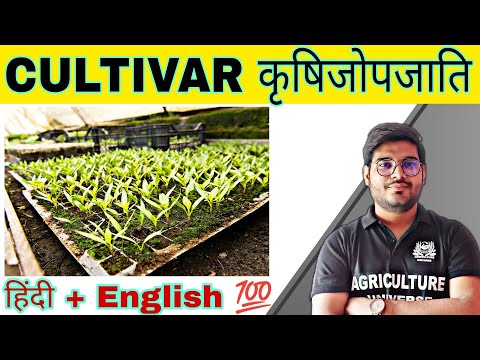 defination allopolyploid allopolyploid kya hai allopolyploid in hindi what is allopolyploid