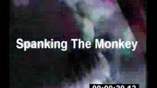 STM Spanking The Monkey