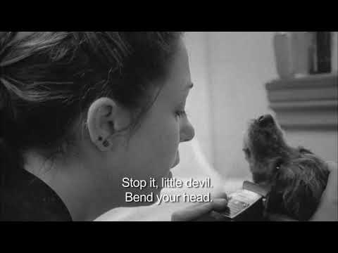 Avenuers (ep. 3)