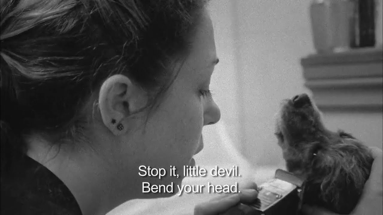 19º Doclisboa | Competição Internacional |Avenuers (ep. 3)| Roberto Santaguida