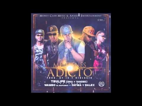 Trulife (DNA & Yanzee) Ft. Wambo El MafiaBoy Y Jayma & Dalex - Me Tienes Adicto