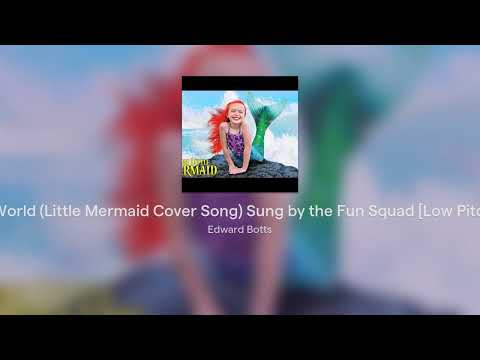 Part of Your World (Little Mermaid Cover Song) Sung by the Fun Squad [Low Pitched Version!]