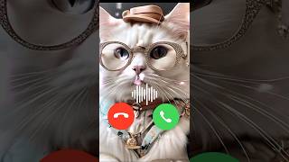 John cat calling me I call back 😱🔥🔥🔥#shortfeed #call #ringtone