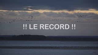 preview picture of video 'La vidéo du record !! + de 83 000 grues cendrées s'envolent au lac du Der'