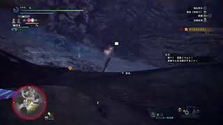 ちょっとモンをハンします