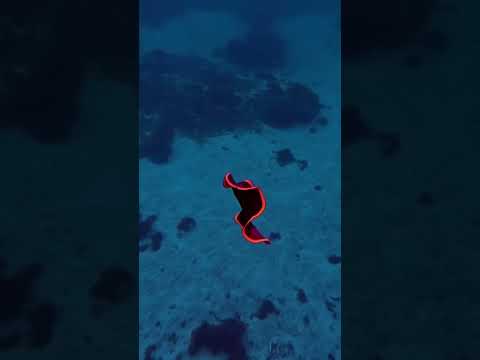 Vorschaubild Video