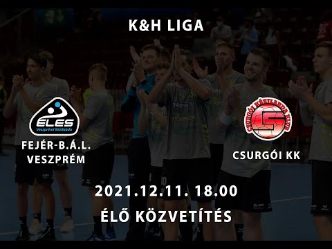 Fejér B.Á.L - Veszprém - Csurgói KK