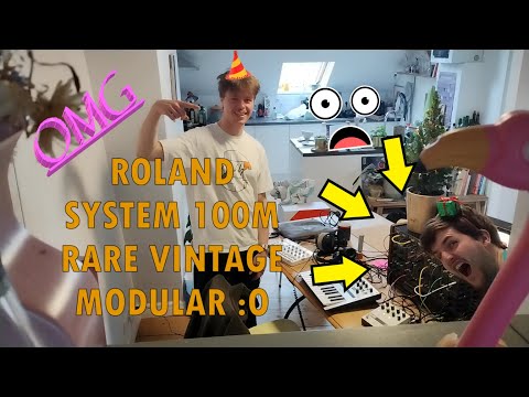 VINTAGE ROLAND SYSTEM 100M?! = DAWLESS TECHNO TIME!