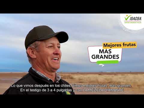 ISAOSA CHILE | Resultados Mezcla Diamante en Ascención, Chihuahua