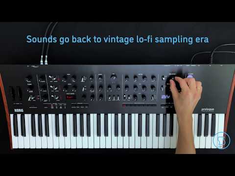 Sinevibes Korg FX - DCM8