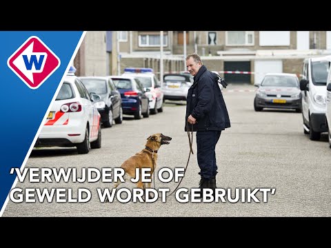 Onrust en vechtpartij in Steijnlaan in Den Haag