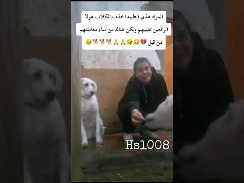 شكرا لكم🙏وشكرا لمن يهتم بهولا المخلوقات الضعيفه الجميله نتمنى الشفقه وقليل من الرحمه لهولا والكائنات