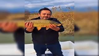 Pamukova'da  Sakarya Nehri’nden 200 Metrelik Ağ Çıkarıldı..