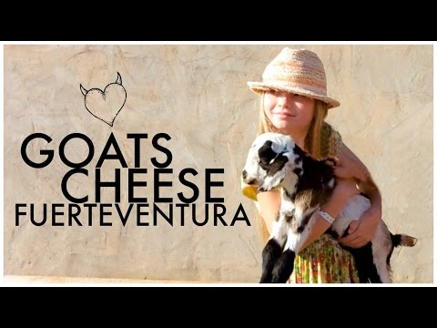 download lagu mp3 mp4 Canary Island Goat Cheese, download lagu Canary Island Goat Cheese gratis, unduh video klip Canary Island Goat Cheese