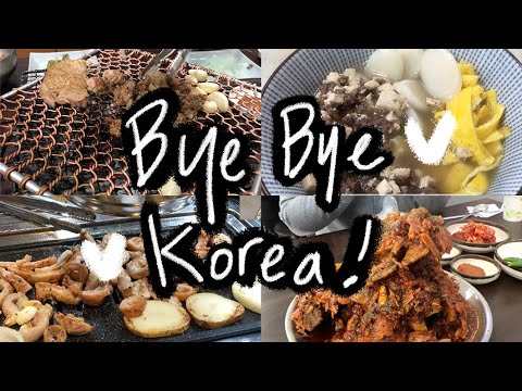 [🇰🇷VLOG] 한국 안녕 | Bye Bye Korea! | 20210101~20210227