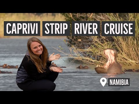 Hippos and Crocodiles in the Caprivi Strip - RiverDance Lodge