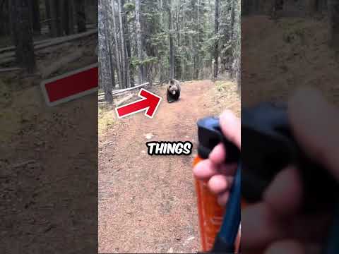 He Tried to Stop a Bear With Pepper Spray 😨