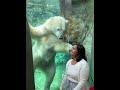 Polar Bear Attacks Woman