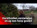 Kerstboomverbranding voorbereiden in Berghem - Brabants Buske