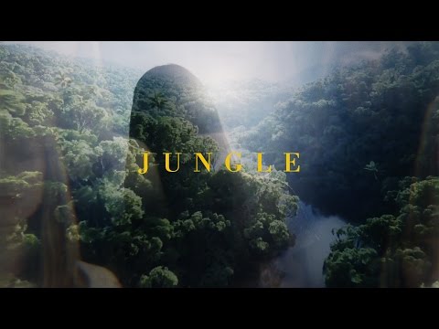 Parrot Dream - Jungle (Official Music Video)