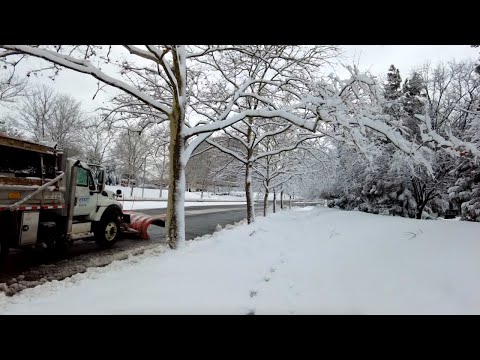 Snowstorm Aftermath in Northern Virginia | Snow Walk January 2022