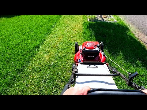 POV Lawn Mowing: Cutting the LONGEST GRASS of Summer with My TORO Mower | Relaxing Lawn Care