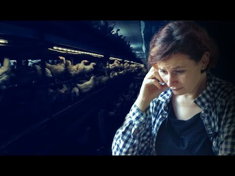 Aber Eier sind okay, oder? Reaction auf Mission Europa 2024