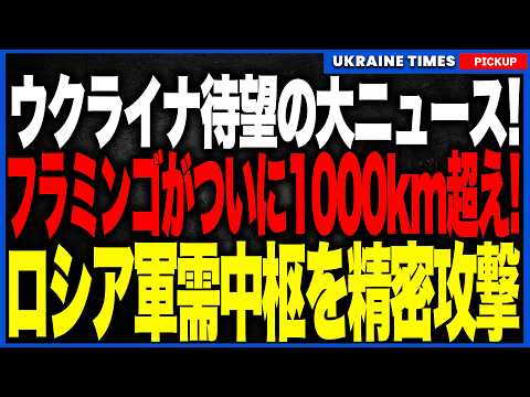皆さん、待ちに待ったニュースです！ウクライナ国産巡航ミサイル「フラミンゴ」がついに本物の戦略兵器へ進化！1000km超のロシア奥地に到達し、軍需中枢を精密攻撃！プーチンの戦争継続能力に重大打撃へ！