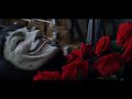 I found a reason - Cat Power | V for Vendetta (Sub)