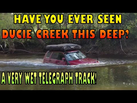 Old Telegraph Track - In a Subaru ! - Ducie Creek