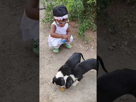 🐕🐕Twins baby dogs க்கு பிஸ்கட் வாங்கி போட்டாச்சு🤩